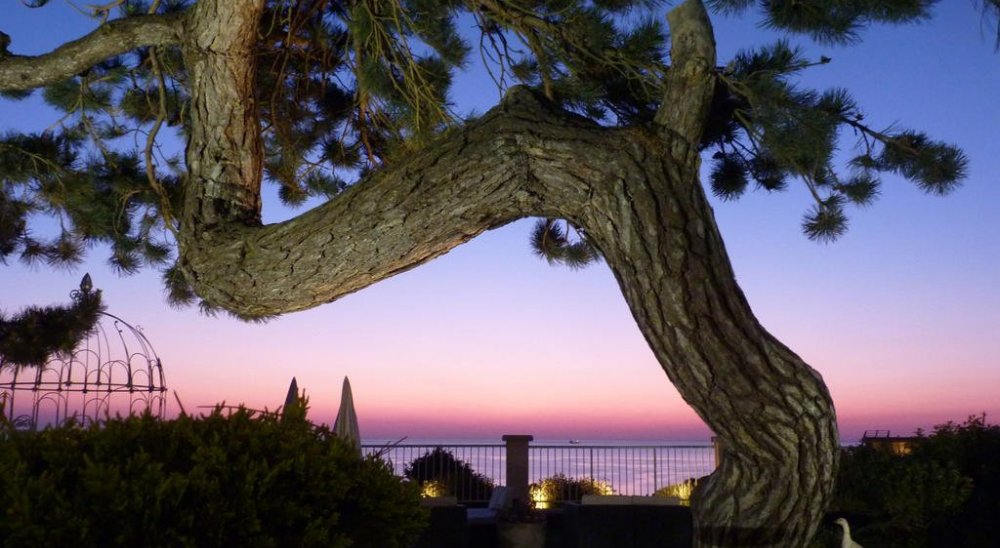 immagine slideshow