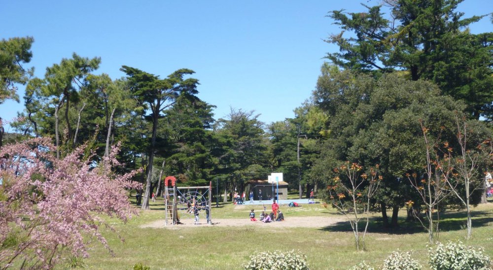 imagen del diaporama