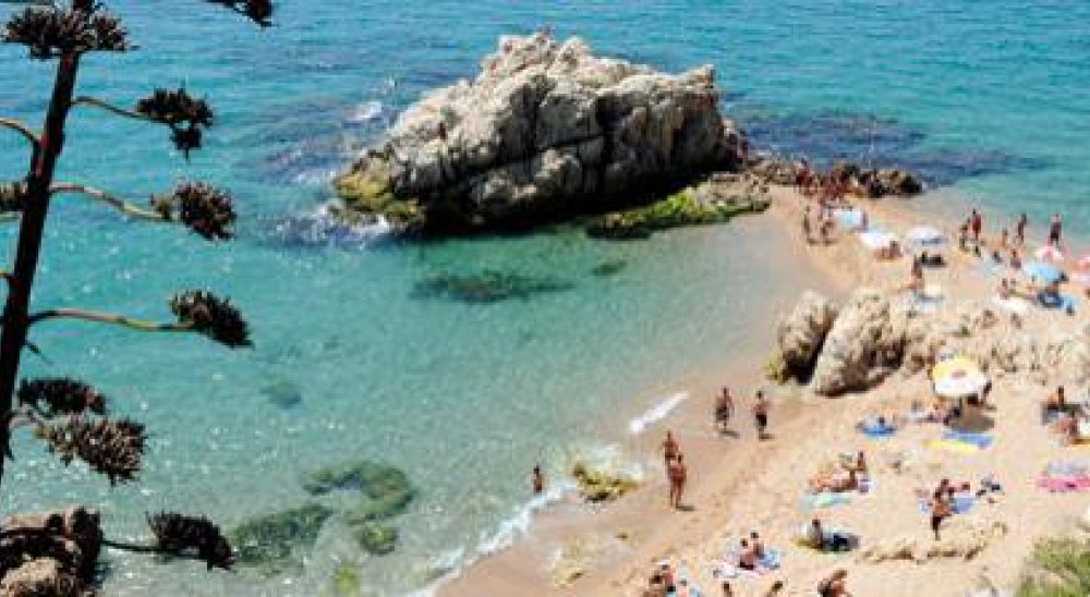 immagine slideshow