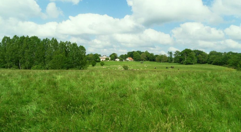 image diaporama