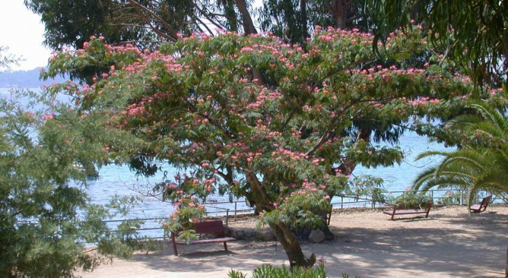 imagen del diaporama