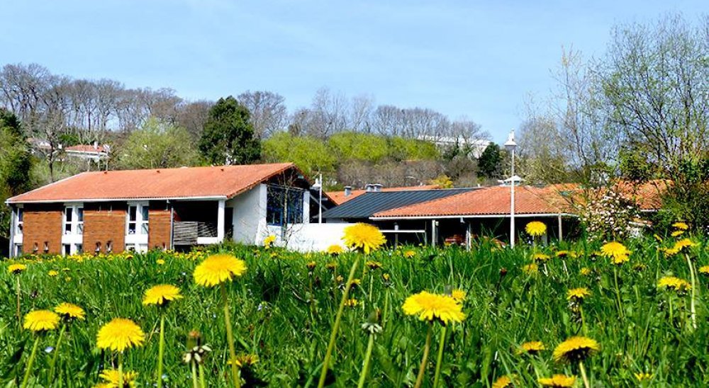 image diaporama