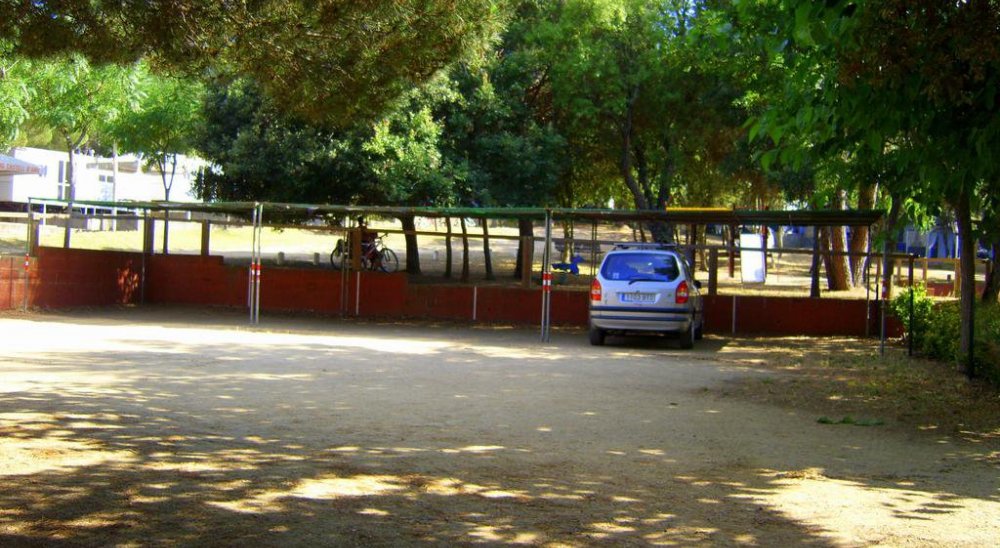 immagine slideshow
