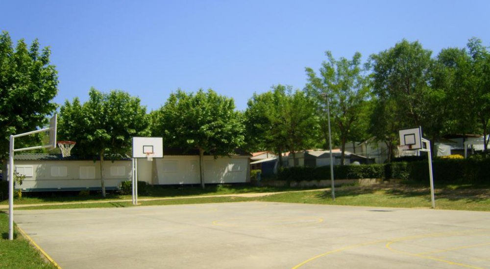 immagine slideshow
