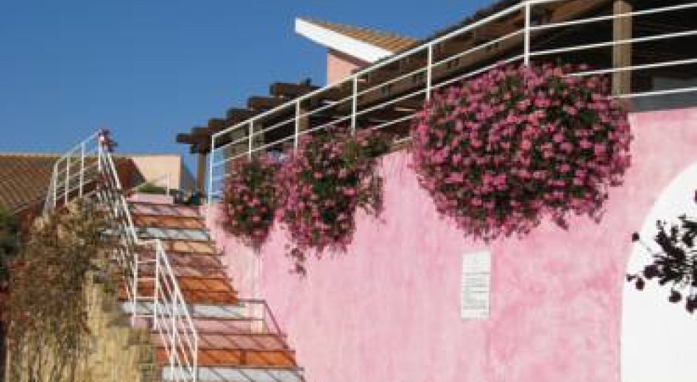 immagine slideshow