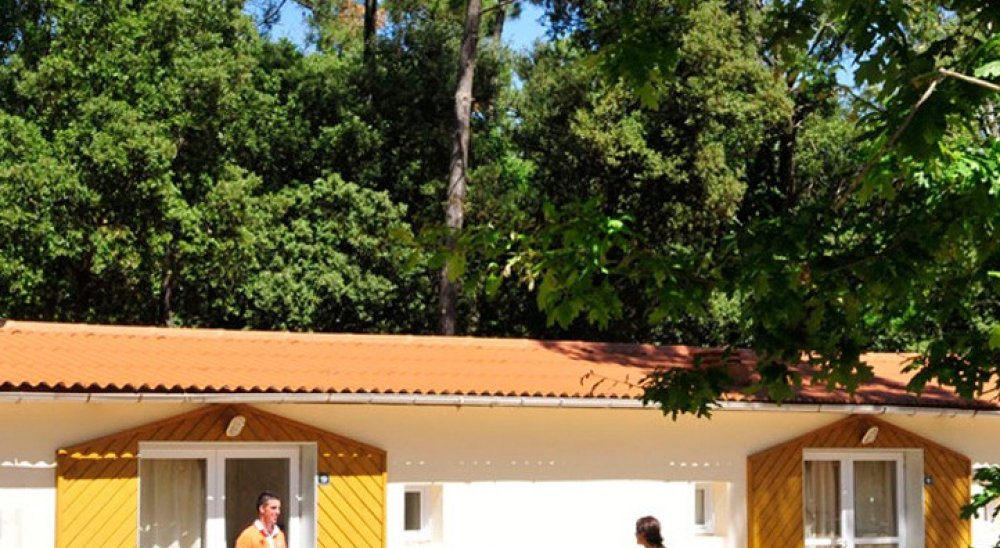 imagem de apresentação de diapositivos