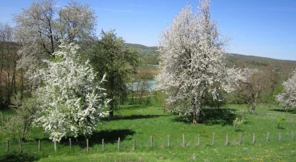 image diaporama