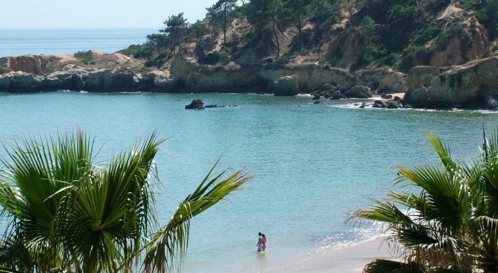 imagen del diaporama