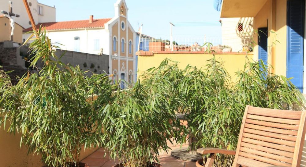 imagen del diaporama