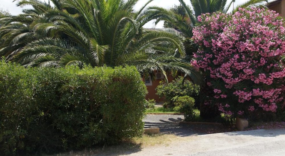 image diaporama