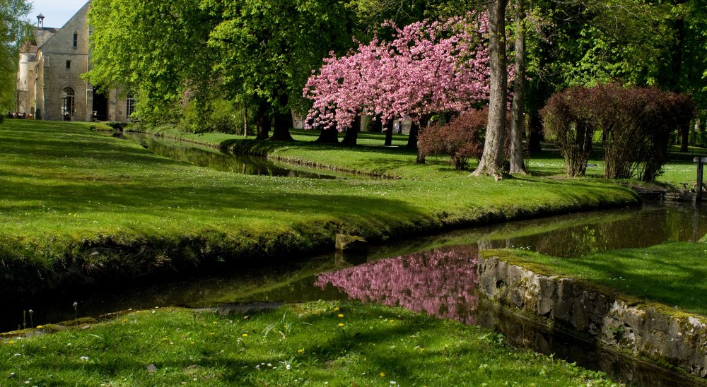 image diaporama