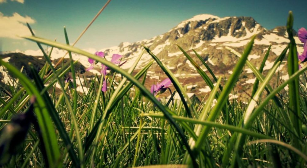 immagine slideshow