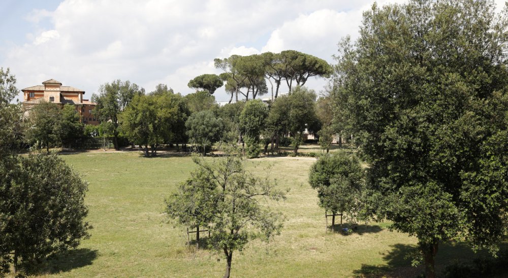 image diaporama