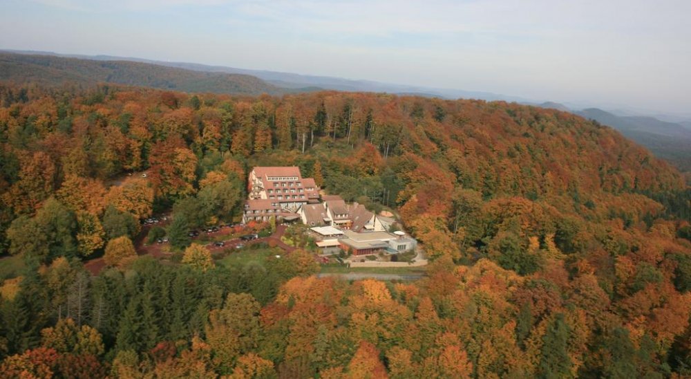 Diashow-Bild