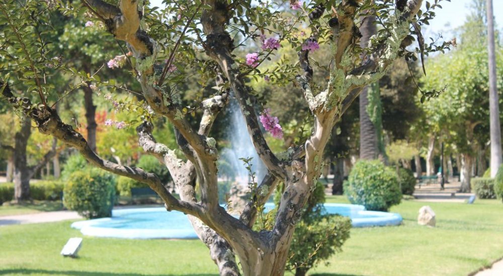 imagen del diaporama