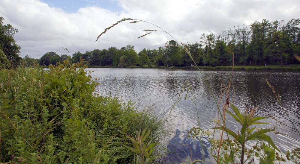 image diaporama