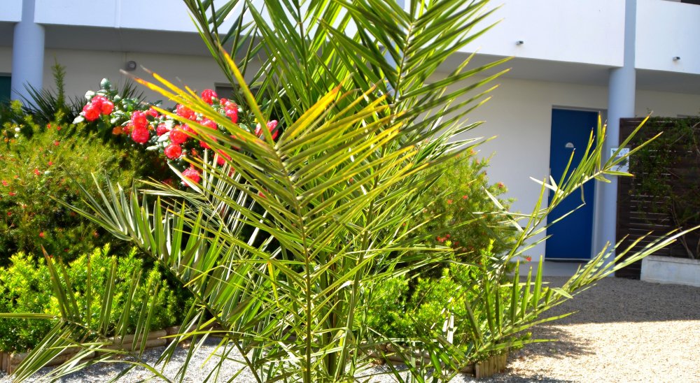 image diaporama