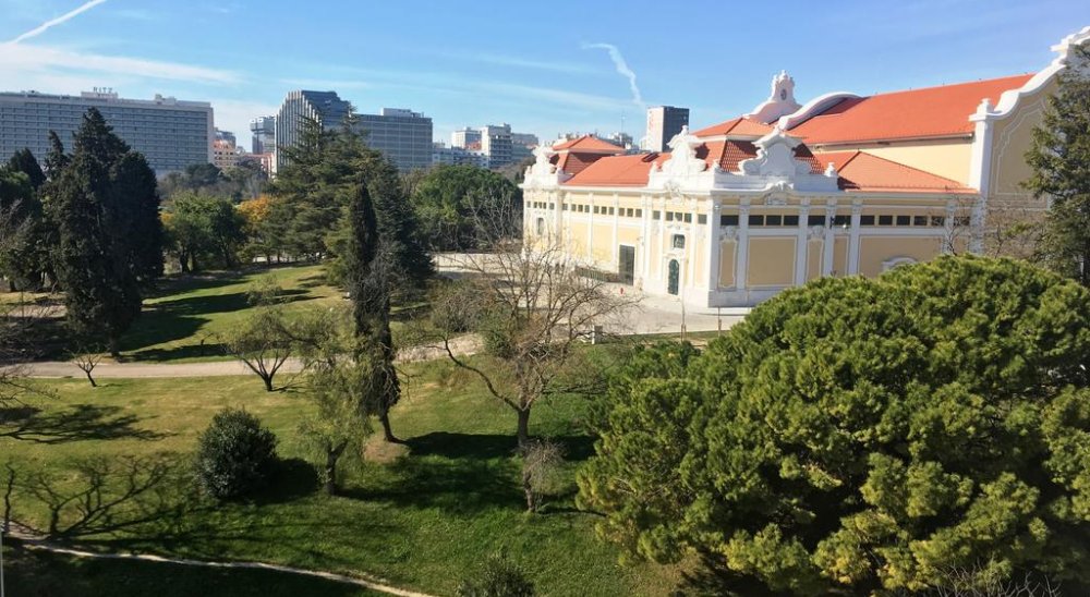 imagen del diaporama