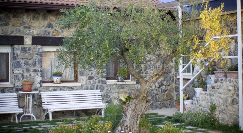 immagine slideshow