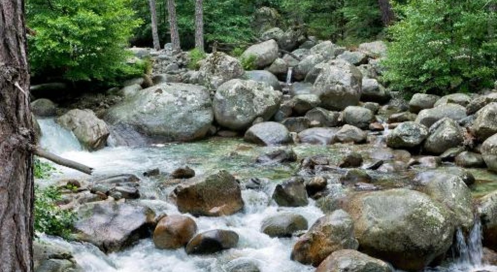 immagine slideshow