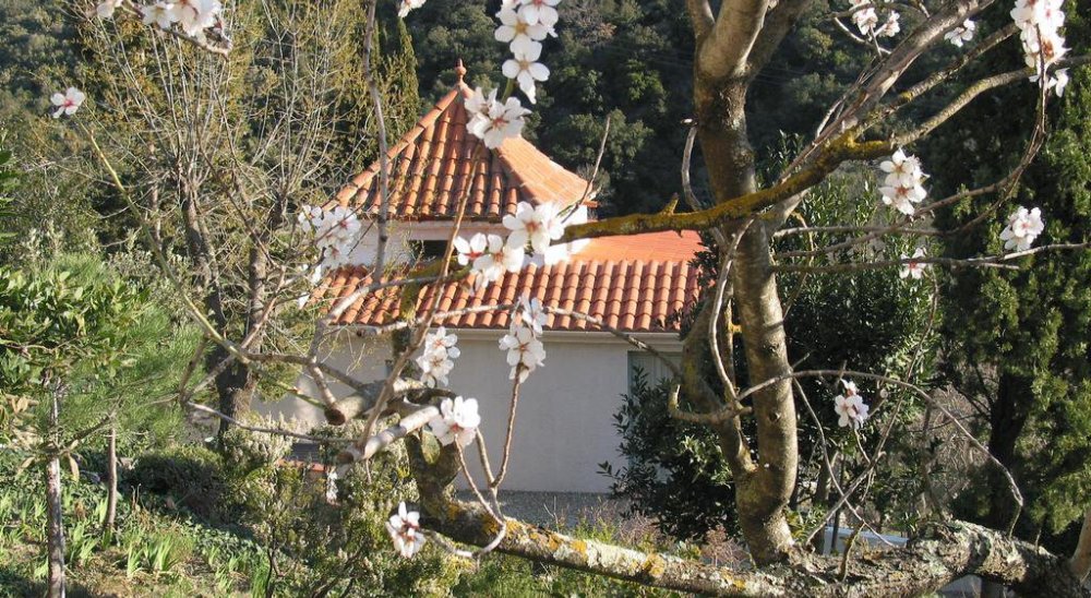 image diaporama