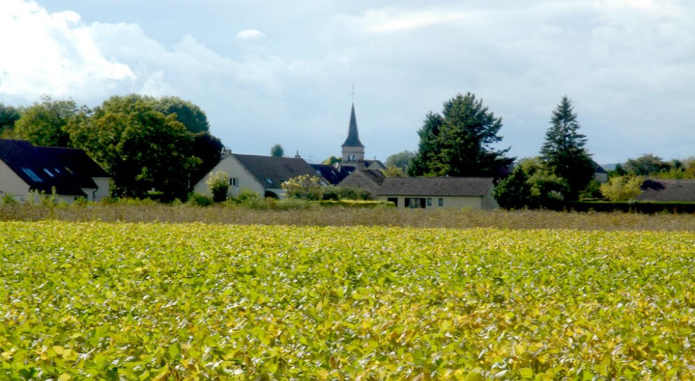 image diaporama