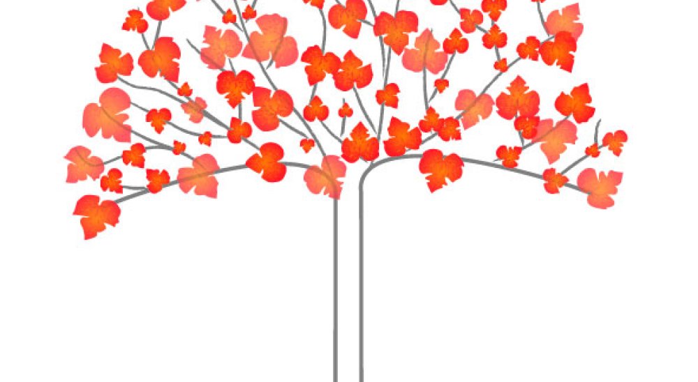 image diaporama