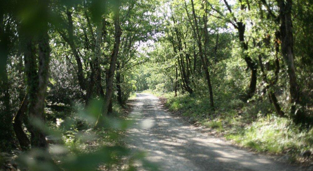 image diaporama