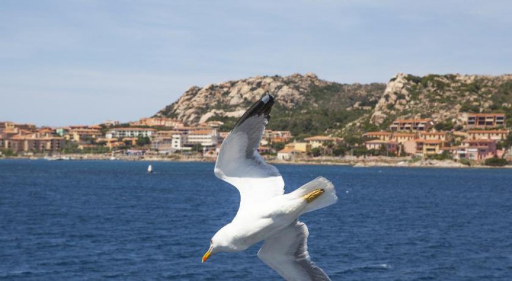 immagine slideshow