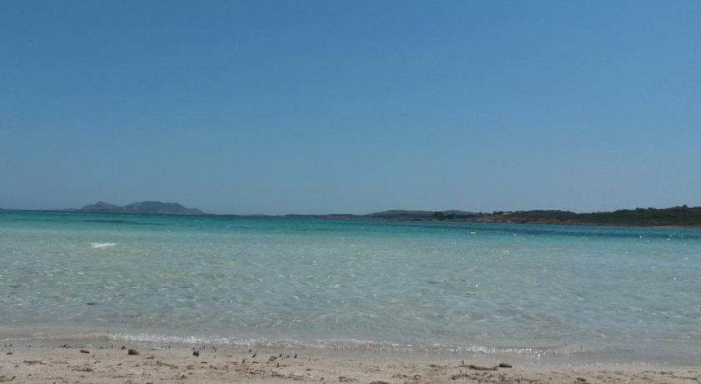 immagine slideshow