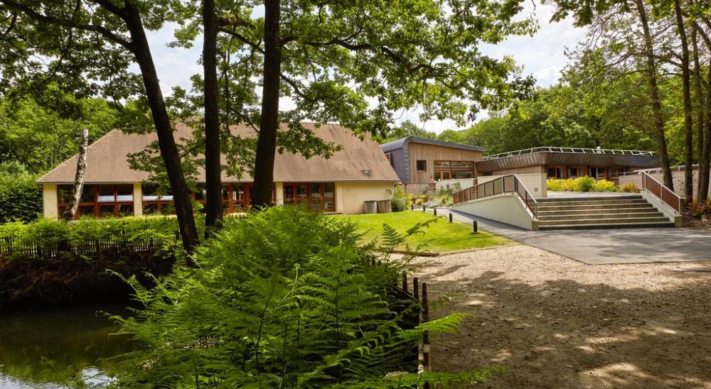 image diaporama